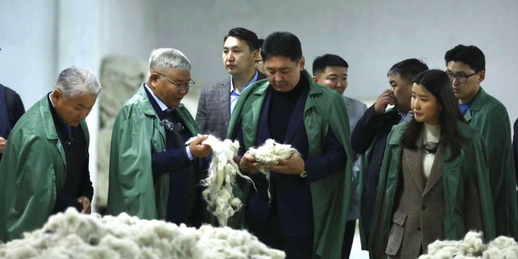 “Цагаан алт” хөтөлбөрийн үр дүнд анх удаа түүхий эдийн 50 хувийг дотоодын үйлдвэрлэгчид бэлтгэжээ