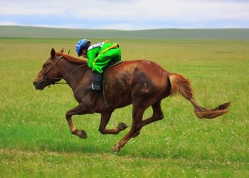УРАЛДААНЧ ХҮҮХДИЙН АЮУЛГҮЙ БАЙДЛЫГ ХАНГАХ ЗӨВЛӨМЖИЙГ АЙМАГ, НИЙСЛЭЛИЙН ЗАСАГ ДАРГА НАРТ ХҮРГҮҮЛЭВ