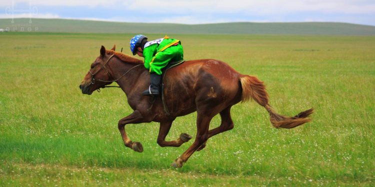 УРАЛДААНЧ ХҮҮХДИЙН АЮУЛГҮЙ БАЙДЛЫГ ХАНГАХ ЗӨВЛӨМЖИЙГ АЙМАГ, НИЙСЛЭЛИЙН ЗАСАГ ДАРГА НАРТ ХҮРГҮҮЛЭВ