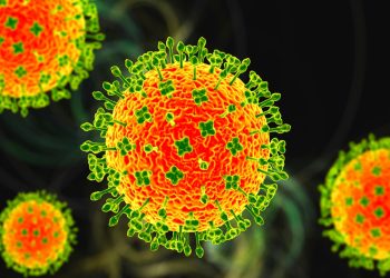 Энэтхэгт Нипа вирусын халдвар дэгджээ