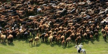 10 мянган морьтон парад 07 дугаар сарын 11-нд болно