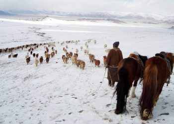 Увс, Ховд, Баян-Өлгийд өвөлжилт хүндрэх төлөвтэй байна