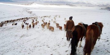 Увс, Ховд, Баян-Өлгийд өвөлжилт хүндрэх төлөвтэй байна