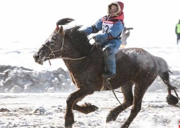 “Дүнжингарав” хаврын уралдааныг сэргээнэ