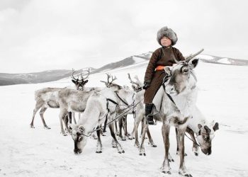 “Маанар” өвлийн эвент Хөвсгөлийн Хүнхэр тайгад болно