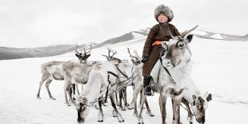 “Маанар” өвлийн эвент Хөвсгөлийн Хүнхэр тайгад болно