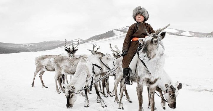 “Маанар” өвлийн эвент Хөвсгөлийн Хүнхэр тайгад болно