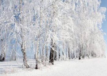 Энэ сарын 20-ныг хүртэл нийт нутгаар цаг агаар эрс чангарна