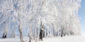 Энэ сарын 20-ныг хүртэл нийт нутгаар цаг агаар эрс чангарна