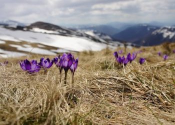 Тавдугаар сард агаарын дундаж температур нийт нутгаар олон жилийн дунджаас дулаан байна