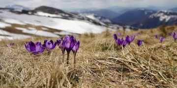 Тавдугаар сард агаарын дундаж температур нийт нутгаар олон жилийн дунджаас дулаан байна