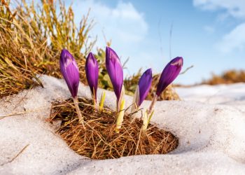 Гуравдугаар сард салхи шуурганы давтамж ихтэй байна