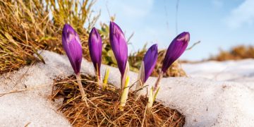 Гуравдугаар сард салхи шуурганы давтамж ихтэй байна