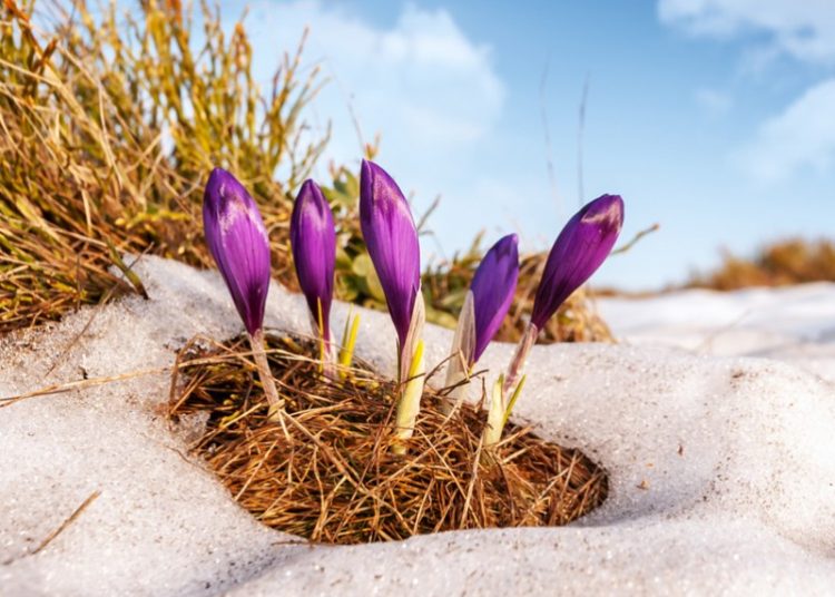 Гуравдугаар сард салхи шуурганы давтамж ихтэй байна
