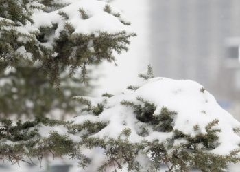 Төвийн аймгуудын нутгаар нойтон цас орно