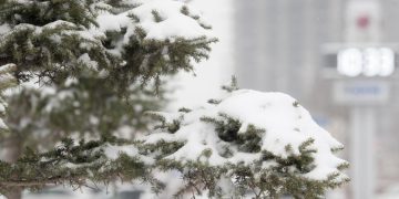 Төвийн аймгуудын нутгаар нойтон цас орно