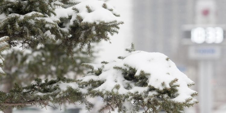 Төвийн аймгуудын нутгаар нойтон цас орно