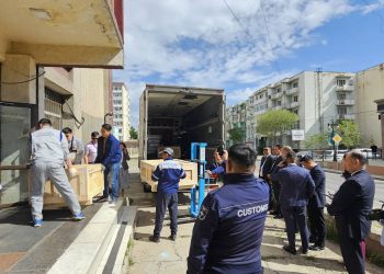 Хилээр хууль бусаар гаргасан үлэг гүрвэлийн олдворуудыг Монголдоо авчирлаа