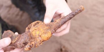Халх гол сумаас 65 дайчны шарил, 3000 гаруй сум, галт хэрэгсэл илрүүлжээ