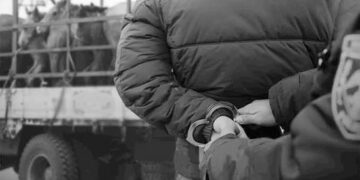 Мал хулгайлах гэмт хэрэг өмнөх оноос 69.7 хувиар өслөө