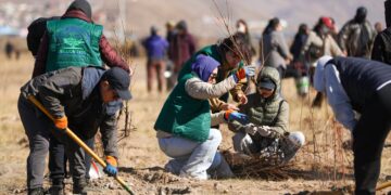 “Тэрбум мод” үндэсний хөдөлгөөний хүрээнд намрын мод тарих аян үргэлжилж байна